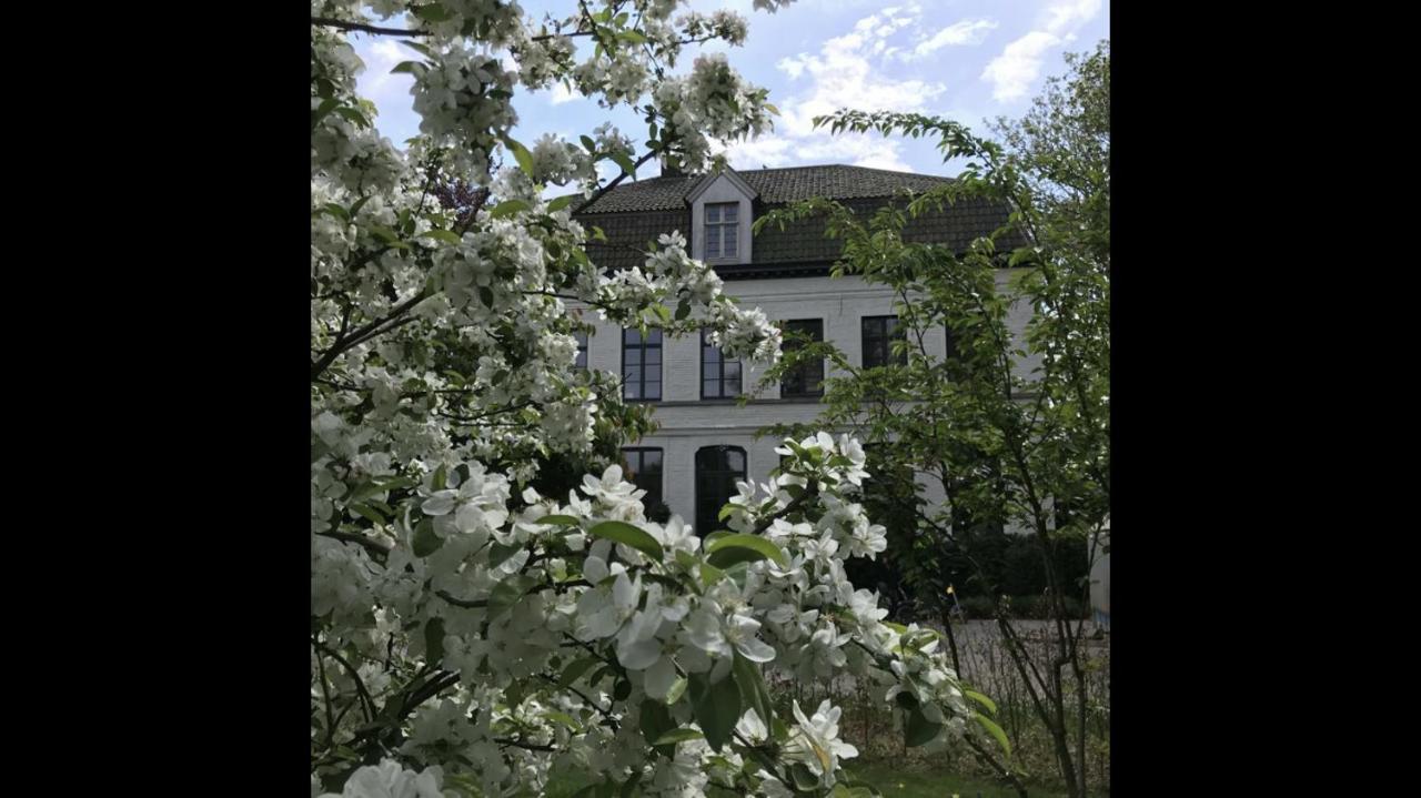 Pastorie Caeneghem Bed & Breakfast Kanegem Exterior photo